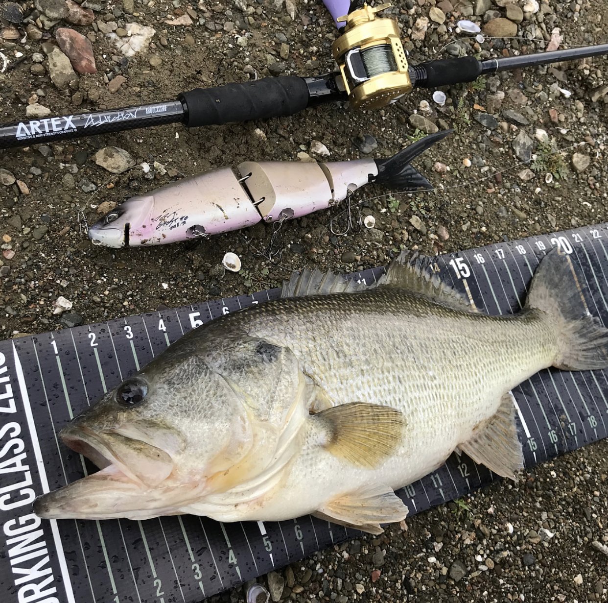 DRTクラッシュゴースト-