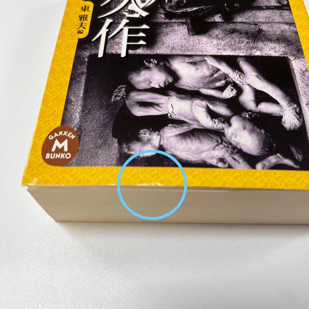 ドグラマグラ幻戯 夢野久作 伝奇ノ匣5 ドグラマグラ - メルカリ