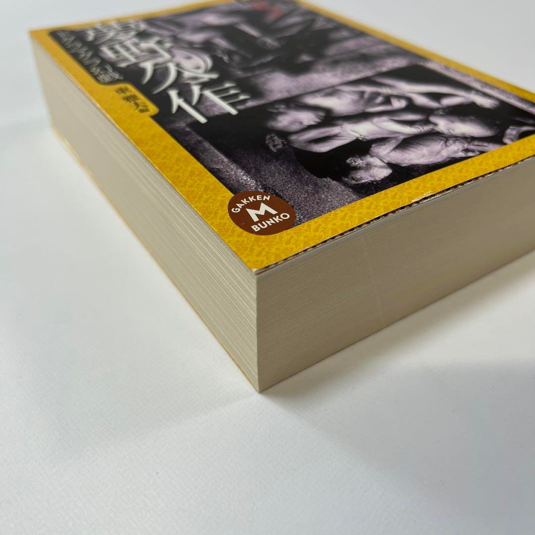 ドグラマグラ幻戯 夢野久作 伝奇ノ匣5 ドグラマグラ - メルカリ