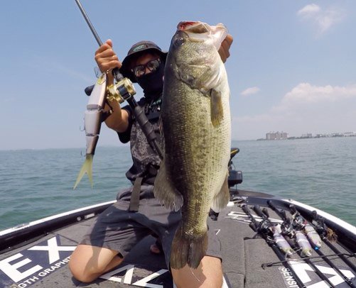 大きさ330mmで重さ8.8oz】DRTのクラッシュシリーズ最大モデル